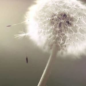 Meet your Posher, Bethanie